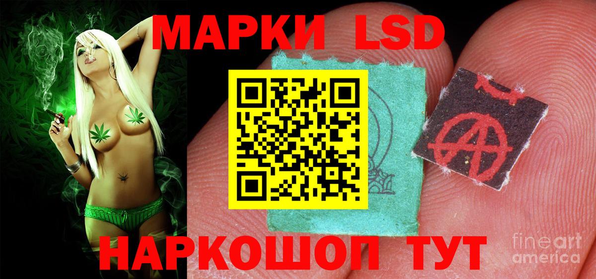 Новый Уренгой  ЛСД экстази ecstasy  Вход с VPN  гидра сайт  ЛСД экстази кислота 