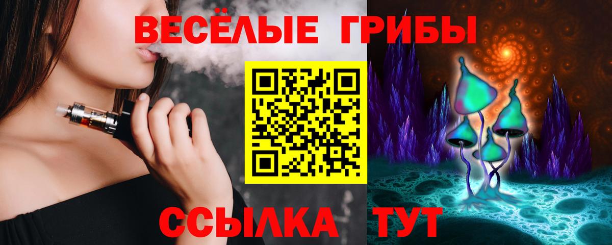 где можно купить наркотик  Псилоцибиновые грибы Psilocybe  Новый Уренгой  Вход с VPN  Псилоцибиновые грибы прущие грибы 