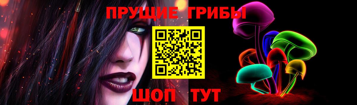 Галлюциногенные грибы Psilocybe Новый Уренгой